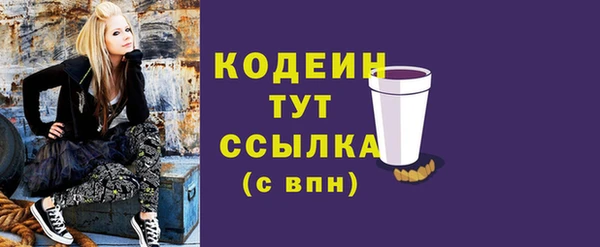 шишки Вязьма