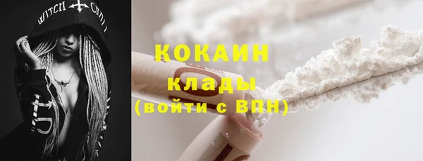 шишки Вязьма