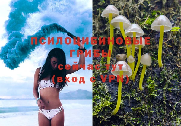 мяу мяу мука Вязники