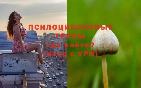 шишки Вязьма